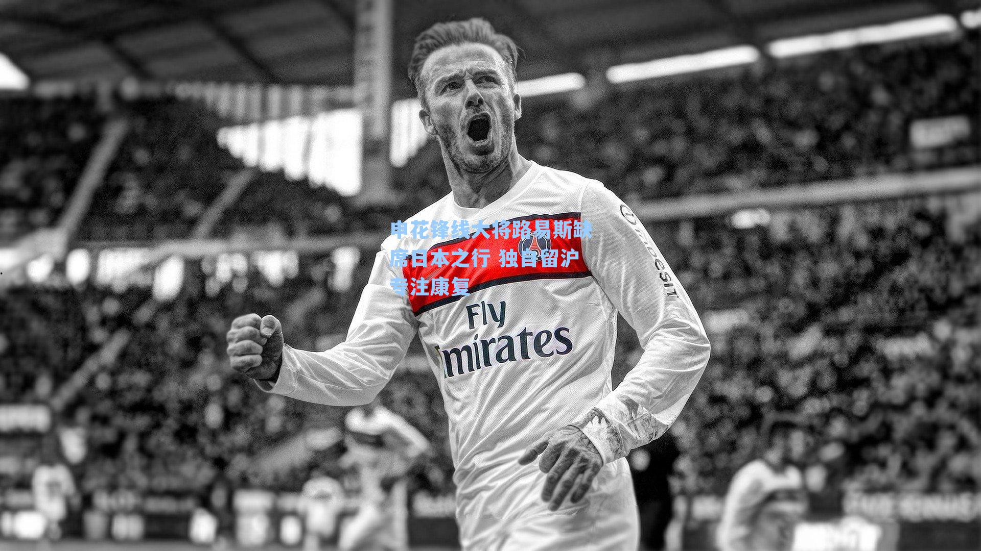 申花锋线大将路易斯缺席日本之行 独自留沪专注康复