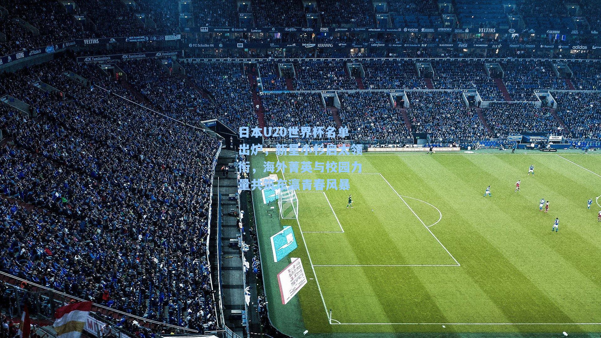 日本U20世界杯名单出炉,新星小杉启太领衔,海外菁英与校园力量共筑东瀛青春风暴