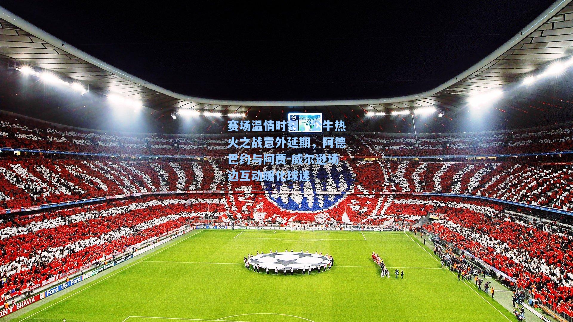 赛场温情时刻，公牛热火之战意外延期，阿德巴约与阿贾-威尔逊场边互动暖化球迷